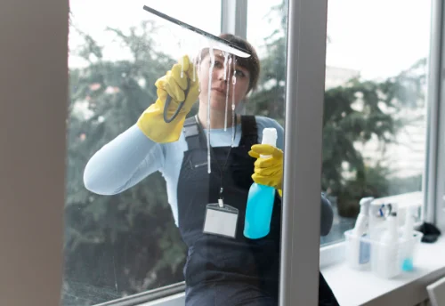 Nettoyage de vitres intérieures et extérieures à Condat-sur-Ganaveix